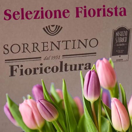 La Selezione del Fiorista basic - scelti per voi